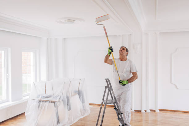 External & Internal Painting Work