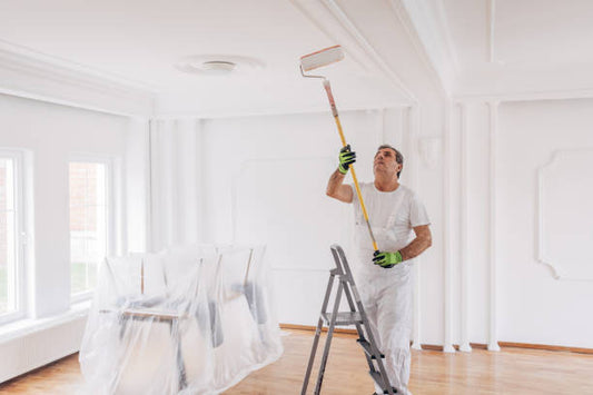 External & Internal Painting Work